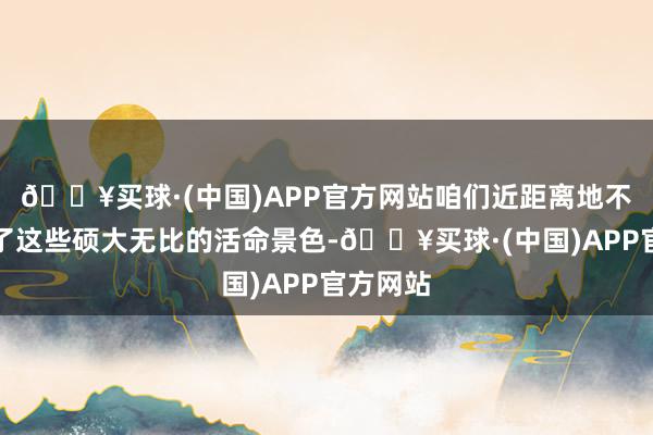 🔥买球·(中国)APP官方网站咱们近距离地不雅察到了这些硕大无比的活命景色-🔥买球·(中国)APP官方网站
