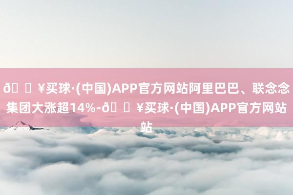 🔥买球·(中国)APP官方网站阿里巴巴、联念念集团大涨超14%-🔥买球·(中国)APP官方网站