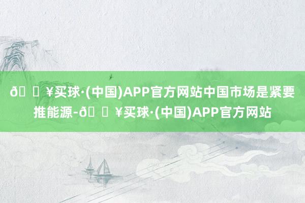 🔥买球·(中国)APP官方网站中国市场是紧要推能源-🔥买球·(中国)APP官方网站