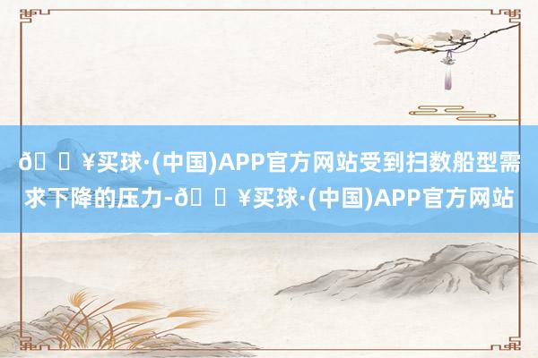 🔥买球·(中国)APP官方网站受到扫数船型需求下降的压力-🔥买球·(中国)APP官方网站