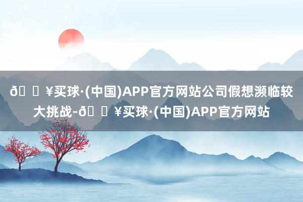 🔥买球·(中国)APP官方网站公司假想濒临较大挑战-🔥买球·(中国)APP官方网站
