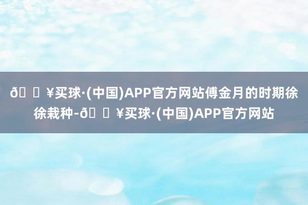🔥买球·(中国)APP官方网站傅金月的时期徐徐栽种-🔥买球·(中国)APP官方网站