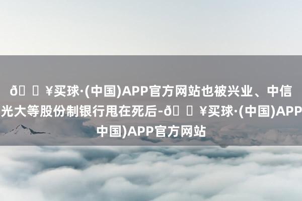 🔥买球·(中国)APP官方网站也被兴业、中信、吉祥、光大等股份制银行甩在死后-🔥买球·(中国)APP官方网站