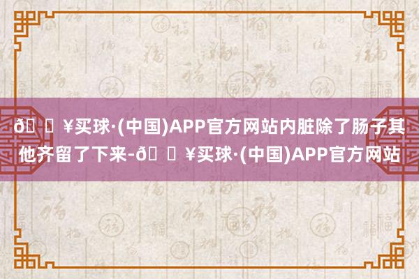 🔥买球·(中国)APP官方网站内脏除了肠子其他齐留了下来-🔥买球·(中国)APP官方网站